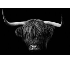 Induction protector | Scottish Highlander dark 2 Induction protector | Scottish Highlander dark 2