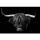 Placemat Vinyl | Scottish Highlander dark 2 Placemat Vinyl | Scottish Highlander dark 2