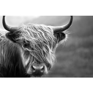 Placemat Vinyl | Scottish highlander black white 2