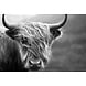 Placemat Vinyl | Scottish Highlander black white 2 Placemat Vinyl | Scottish Highlander black white 2