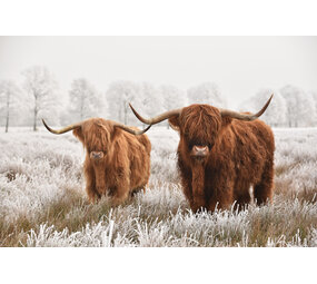 Placemat Vinyl | Scottish Twin Placemat Vinyl | Scottish Twin