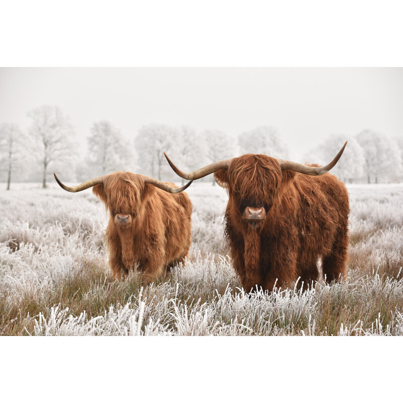 Placemat Vinyl | Scottish twin