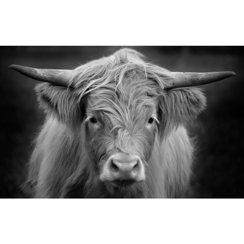 Napperon Vinyle | Highlander écossais noir et blanc 3