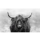 Placemat Vinyl | Scottish Highlander grey 2 Placemat Vinyl | Scottish Highlander grey 2