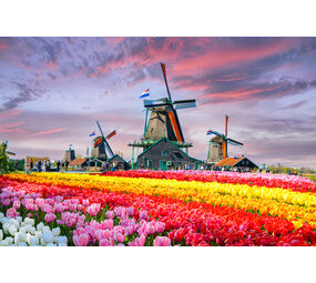 Placemat Vinyl | Tulpen veld Placemat Vinyl | Tulpen veld