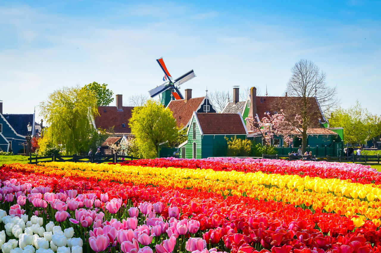 floorevents.com Induktionsschutz | Tulpenfeld 2