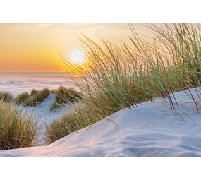 Placemat Vinyl | Terschellingse duinen Placemat Vinyl | Terschellingse duinen