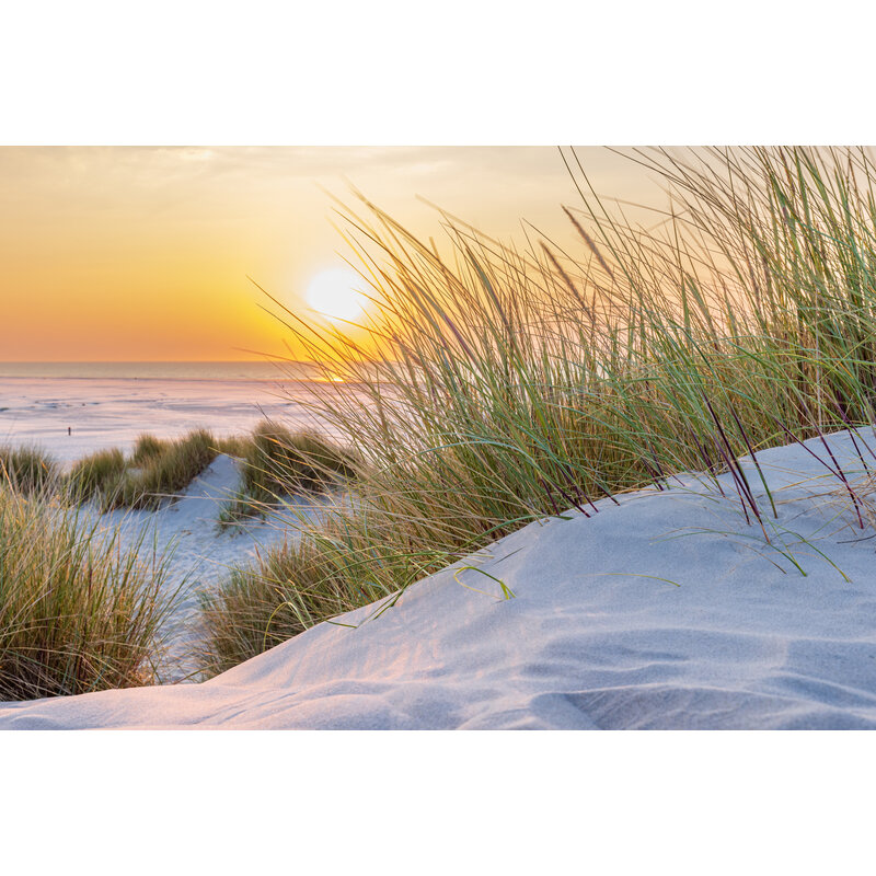 Placemat Vinyl | Terschelling dunes