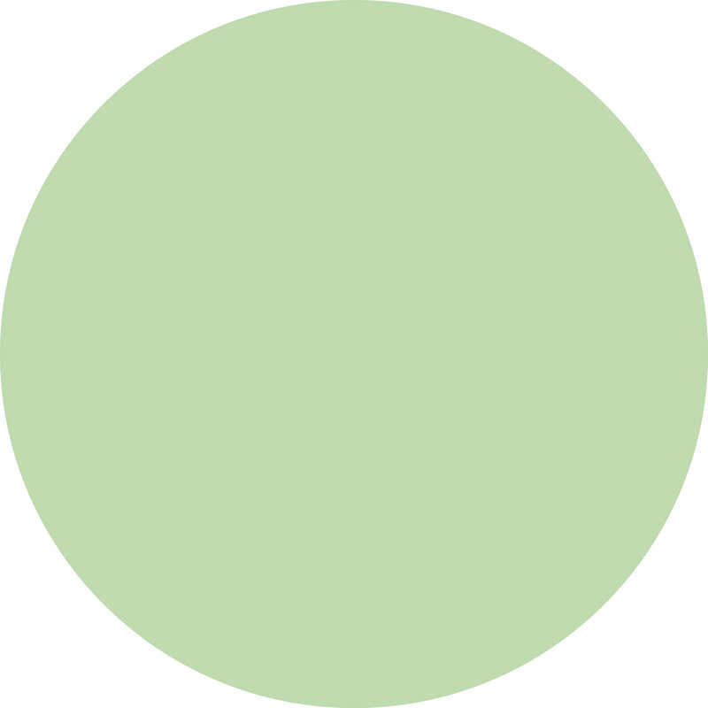 Tapis UNI vinyle rond | Vert Menthe