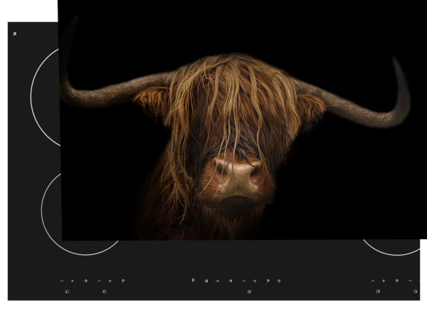 floorevents.com Inductie beschermer  | Schotse hooglander dark