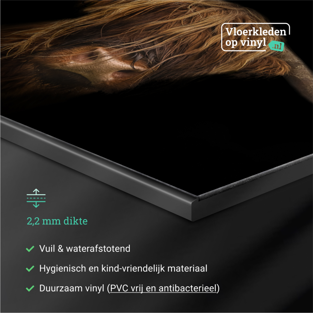 floorevents.com Inductie beschermer  | Schotse hooglander dark