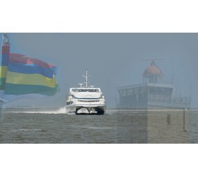 Induction protector | Terschelling Induction protector | Terschelling