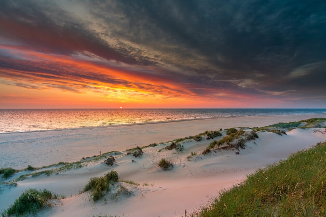 Induction protector |  Terschellingse dunes 2