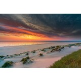 Inductie beschermer | Terschellingse duinen 2