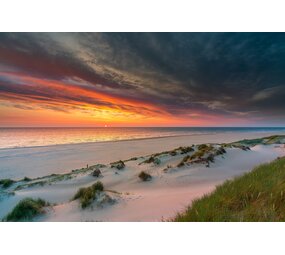 Induction protector | Terschelling dunes 2