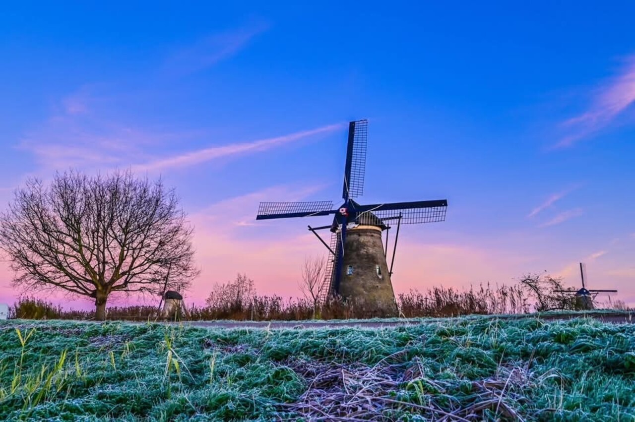 Induktionsschutz | Eine holländische Traumlandschaft Induktionsschutz | Eine holländische Traumlandschaft