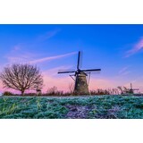 Induction protector | A Dutch dream landscape