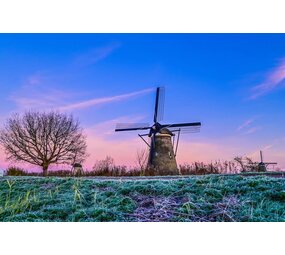 Inductie beschermer | Een Hollands droomlandschap Inductie beschermer | Een Hollands droomlandschap