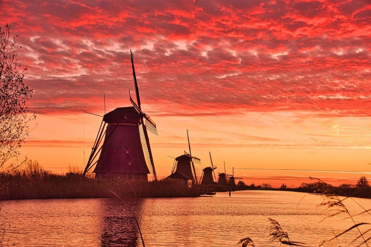 Inductie beschermer | Een Hollandse Serenade Inductie beschermer | Een Hollandse Serenade