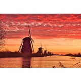 Induction protector | A Dutch Serenade