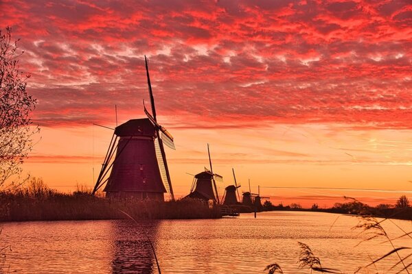 Induktionsschutz | Eine Holländische Serenade Induktionsschutz | Eine Holländische Serenade