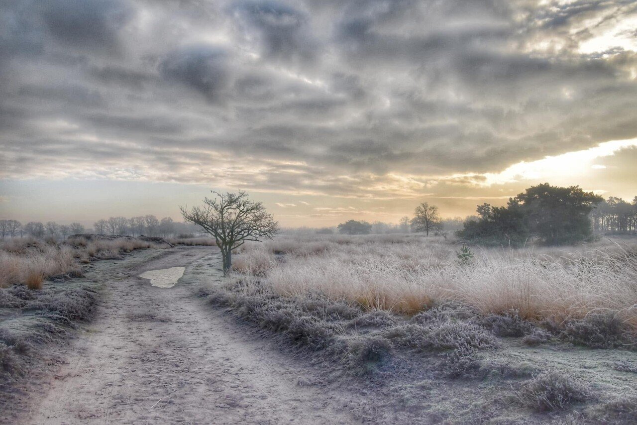 Inductie beschermer | IJzige doorgang Inductie beschermer | IJzige doorgang