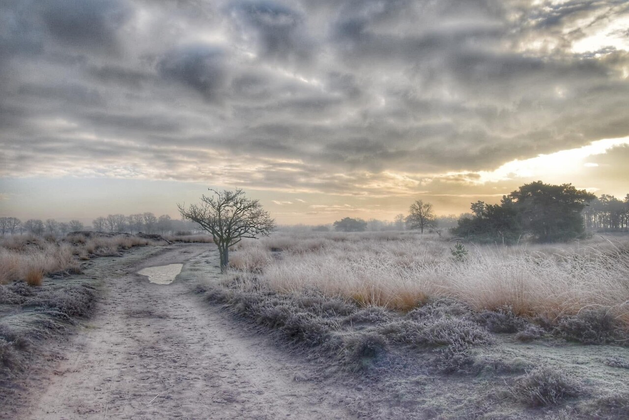 Induktionsschutz | Eisiger Durchgang Induktionsschutz | Eisiger Durchgang