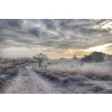 Induktionsschutz | Eisiger Durchgang Induktionsschutz | Eisiger Durchgang