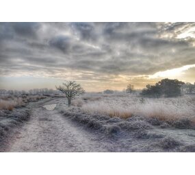 Induction protector | Icy passage Induction protector | Icy passage