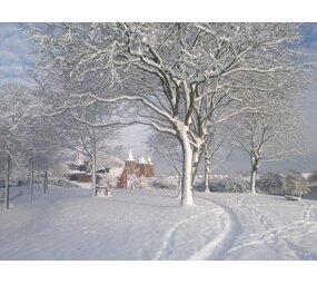 Induction protector | Crystal Chapel