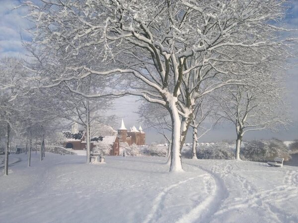 Induktionsschutz | Kristallkapelle Induktionsschutz | Kristallkapelle