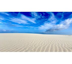 Induction protector | Sandy Keep