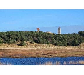 Induction protector | Brandaris Serena Vista