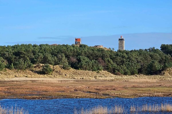 Induktionsschutz | Brandaris Serena Vista Induktionsschutz | Brandaris Serena Vista