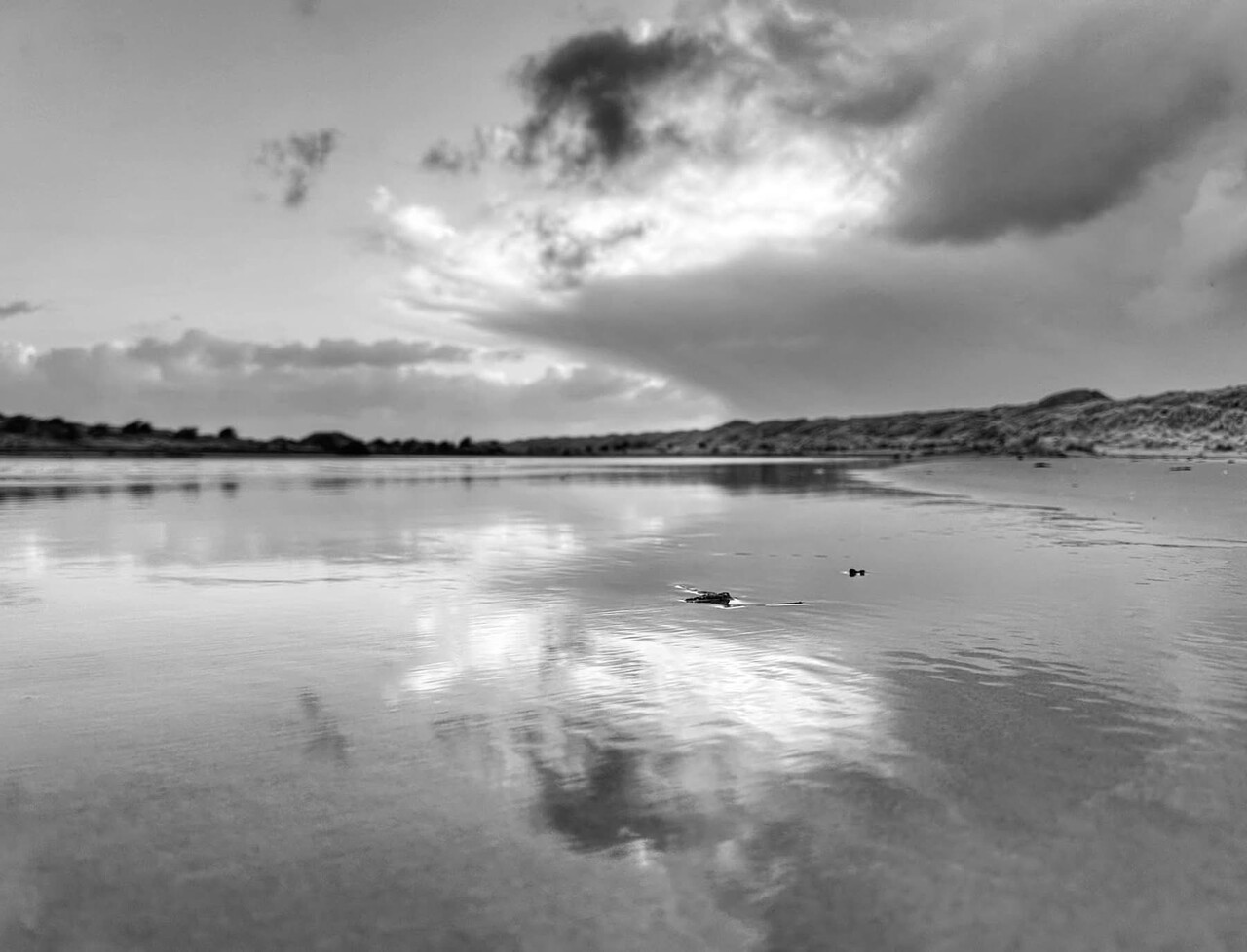 Inductie beschermer | Twee tonig ontsnapping Inductie beschermer | Twee tonig ontsnapping