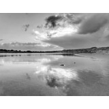 Induction protector | Two-tone escape