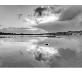 Induction protector | Two-tone escape