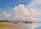 Induction protector | Terschelling Windy Horizon