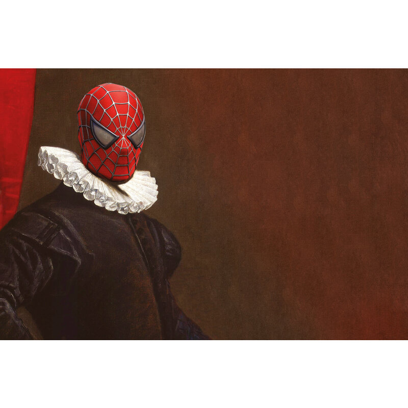 Inductie beschermer | Spiderman
