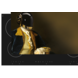 floorevents.com Inductie beschermer | Daft punk 2