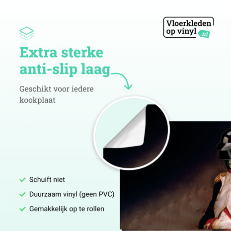 floorevents.com Inductie beschermer | Daft punk