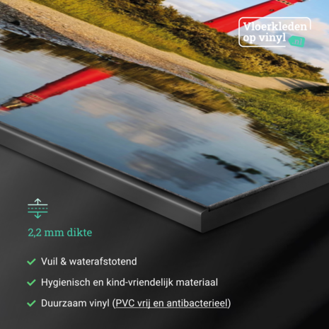 Induction protector | The Radiant Red North Tower