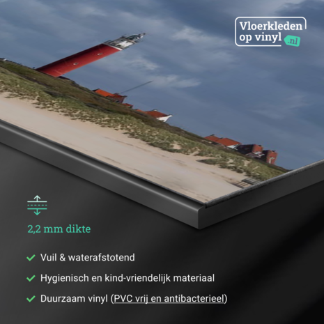 Inductie beschermer | Eiertoren vlieger vakantie