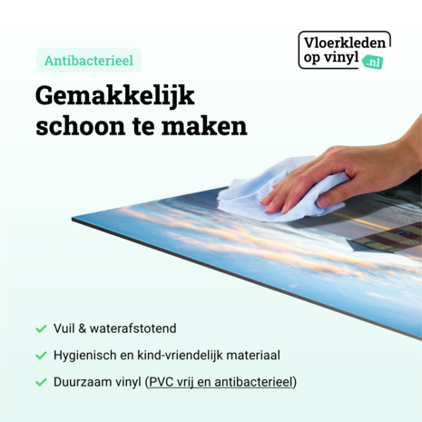 Inductie beschermer | Lagelicht Baken van de kust