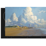 Induction protector | Terscheling Zalige Eb