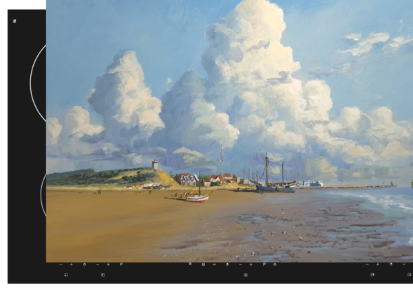 Inductie beschermer | Terscheling Zalige Eb