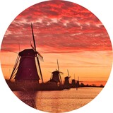 Wall circle | A Hallande Serenade Wall circle | A Hallande Serenade