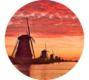 Wall circle | A Hallande Serenade Wall circle | A Hallande Serenade