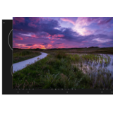 Induction protector | The pond at dusk