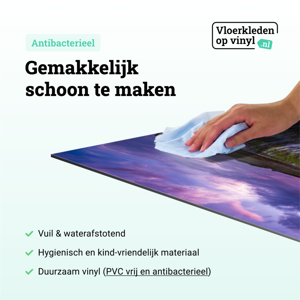 Induction protector | The pond at dusk